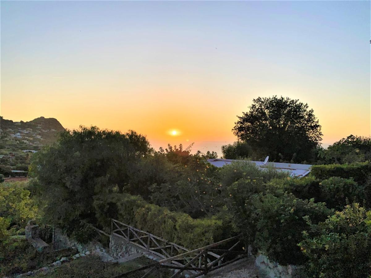 Villetta Con Giardino Esclusivo Di 1000 Mq, Piscina, Tennis, Calcio, Bocce Forio di Ischia Екстериор снимка