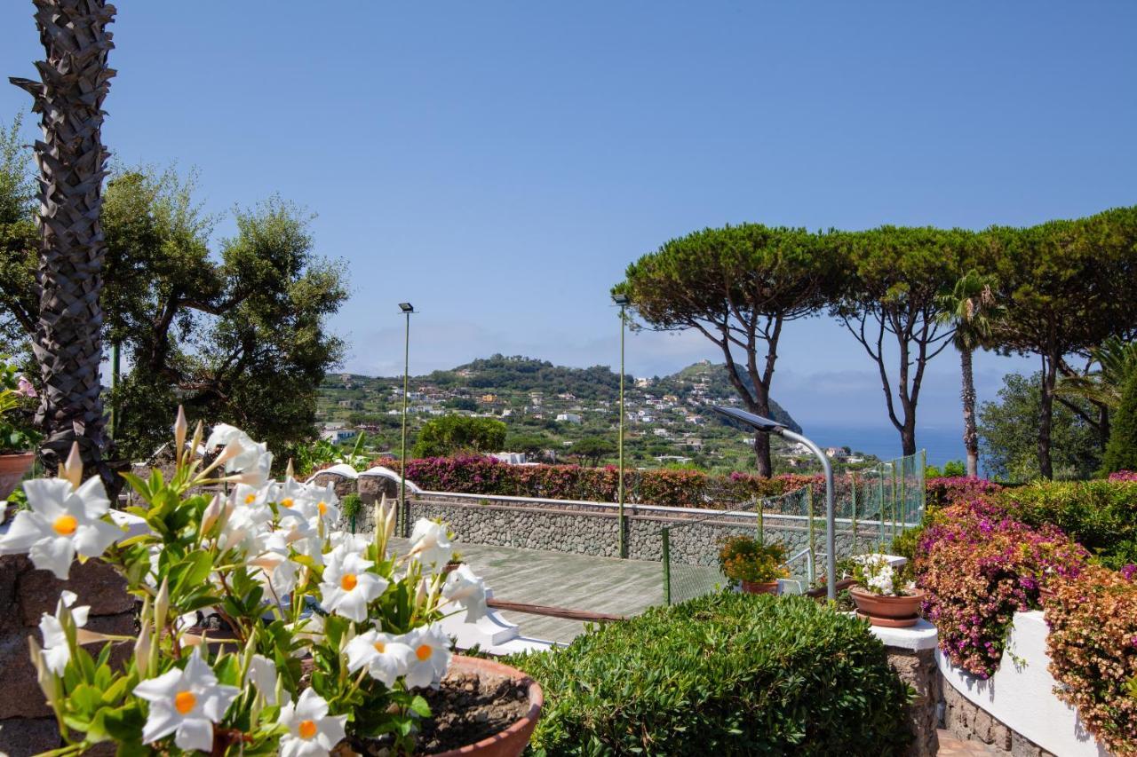 Villetta Con Giardino Esclusivo Di 1000 Mq, Piscina, Tennis, Calcio, Bocce Forio di Ischia Екстериор снимка