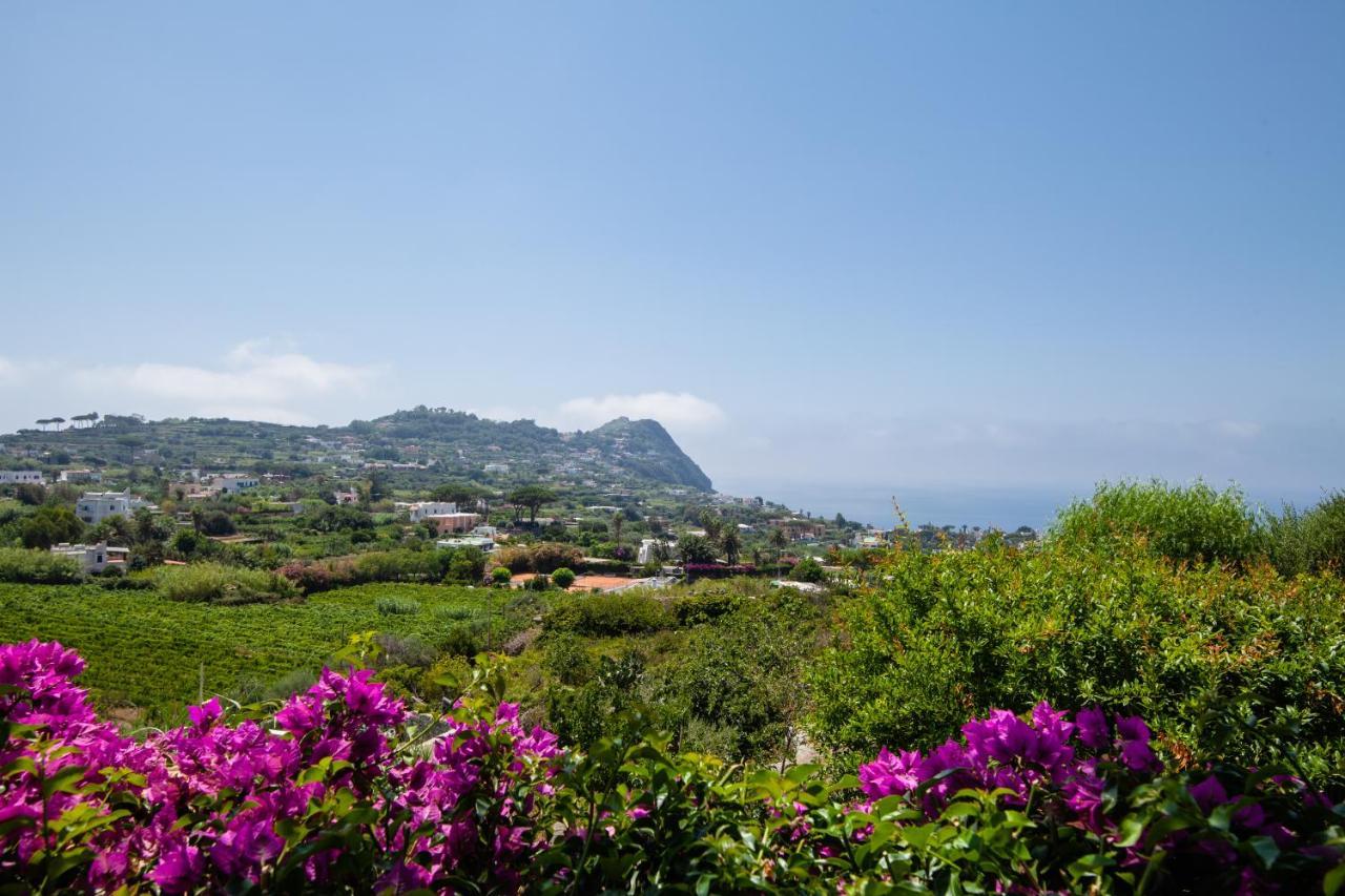 Villetta Con Giardino Esclusivo Di 1000 Mq, Piscina, Tennis, Calcio, Bocce Forio di Ischia Екстериор снимка