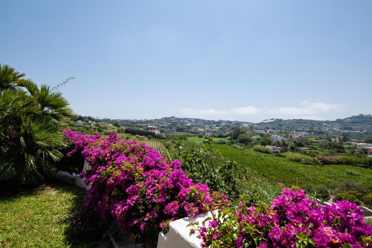 Villetta Con Giardino Esclusivo Di 1000 Mq, Piscina, Tennis, Calcio, Bocce Forio di Ischia Екстериор снимка