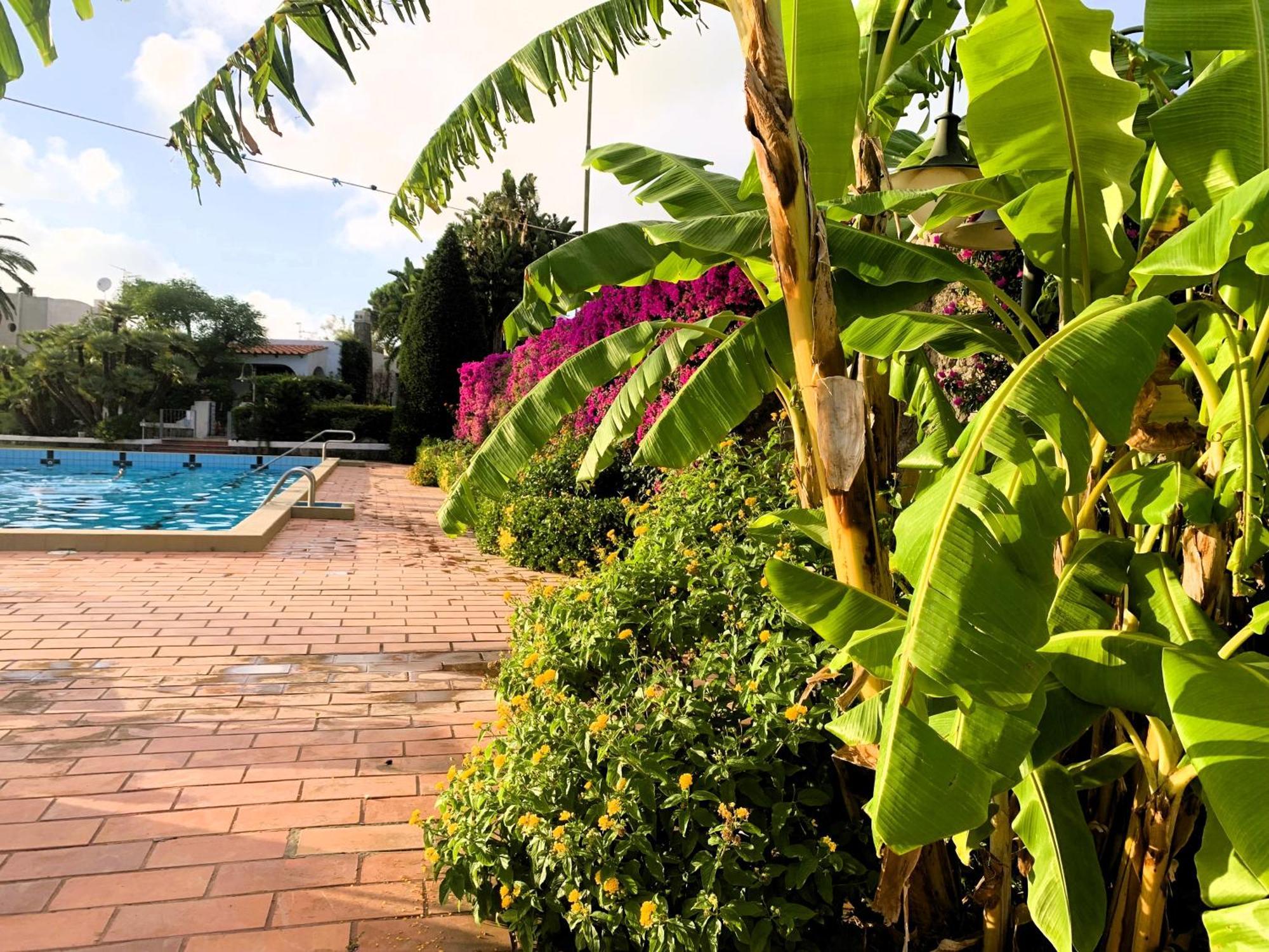 Villetta Con Giardino Esclusivo Di 1000 Mq, Piscina, Tennis, Calcio, Bocce Forio di Ischia Екстериор снимка