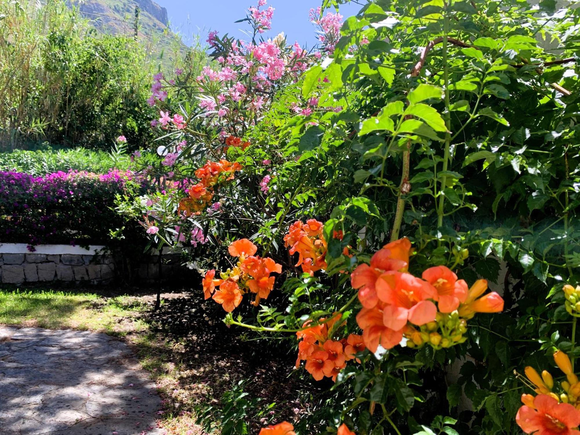 Villetta Con Giardino Esclusivo Di 1000 Mq, Piscina, Tennis, Calcio, Bocce Forio di Ischia Екстериор снимка