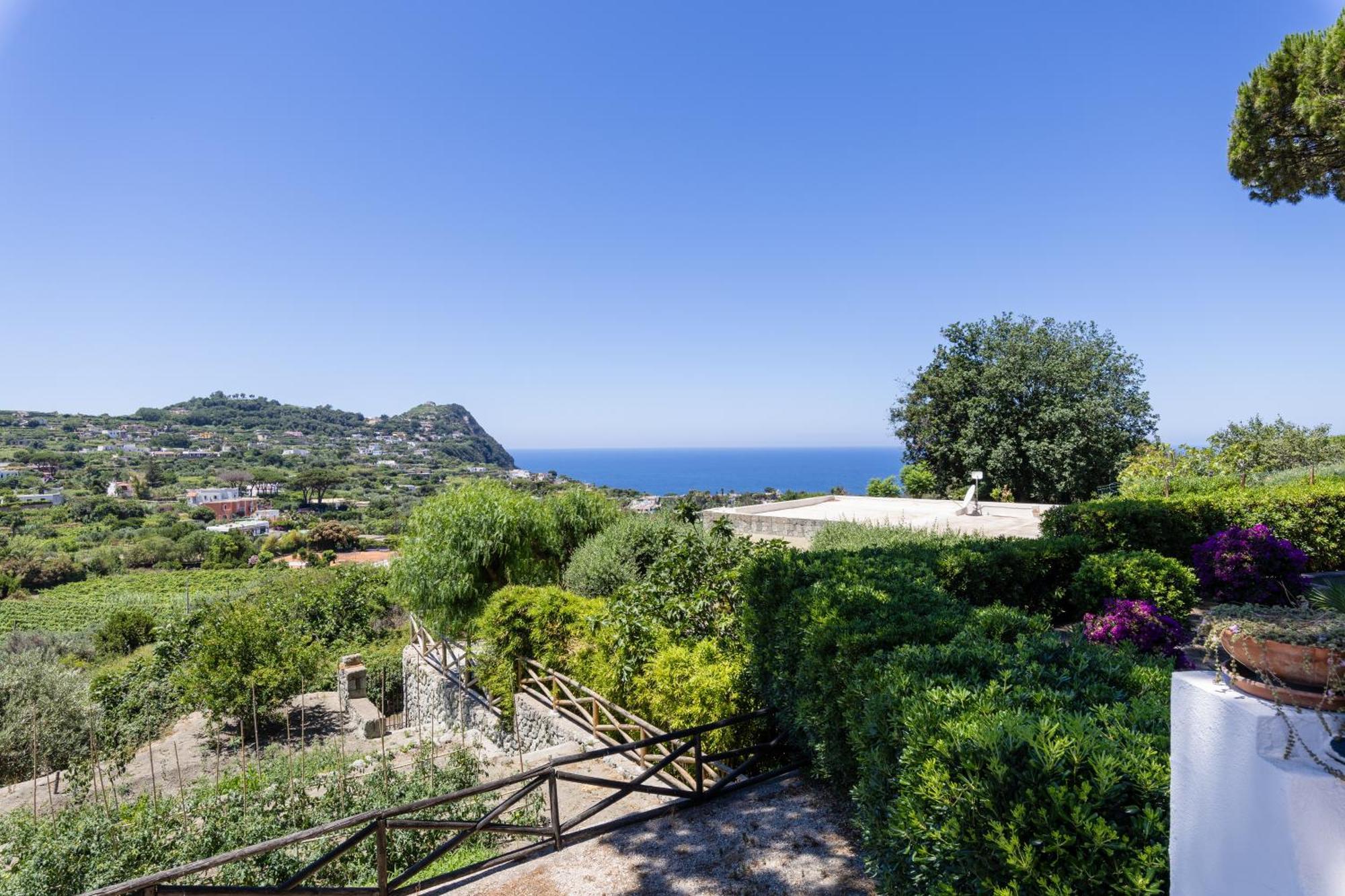 Villetta Con Giardino Esclusivo Di 1000 Mq, Piscina, Tennis, Calcio, Bocce Forio di Ischia Екстериор снимка