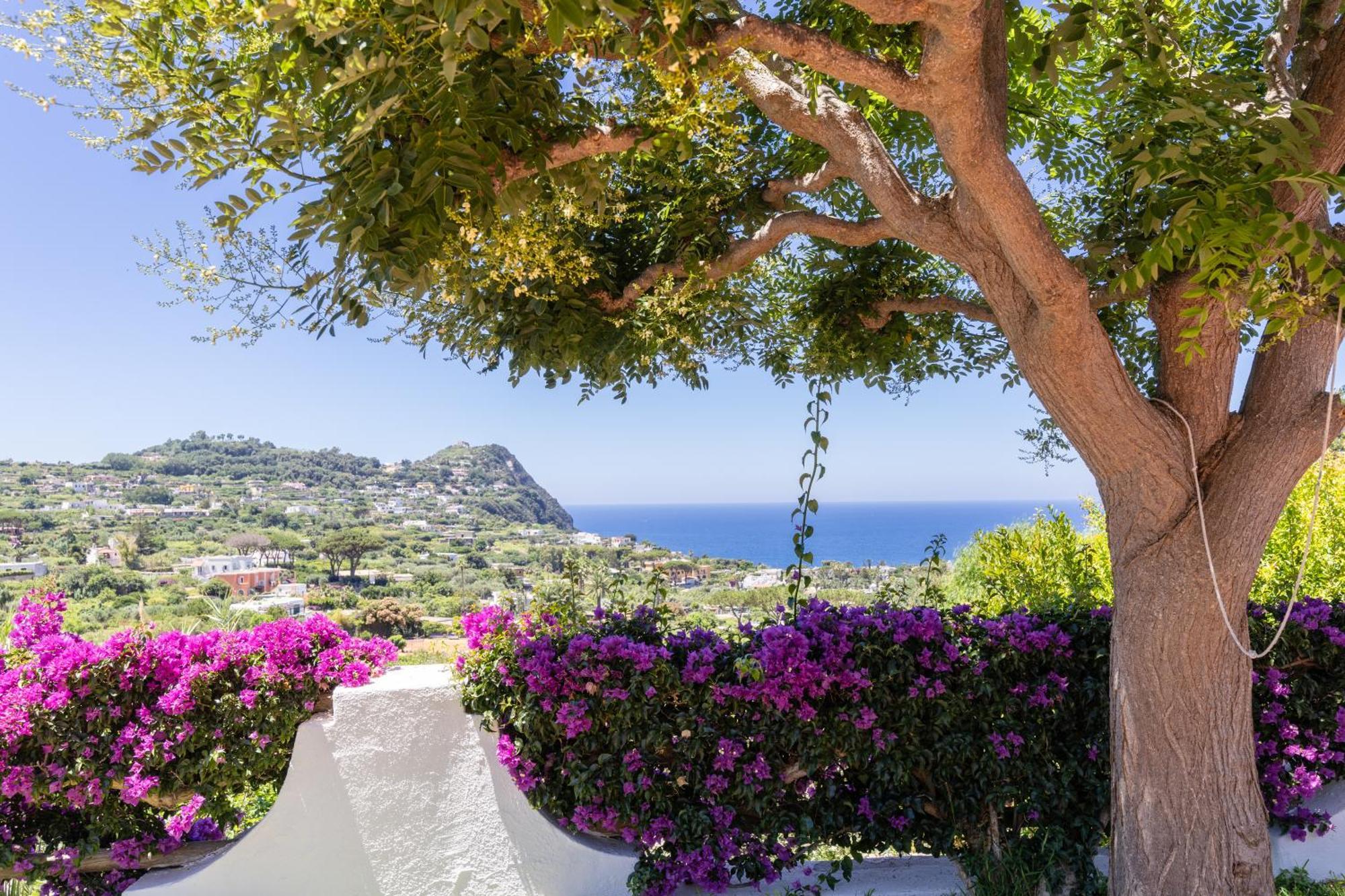 Villetta Con Giardino Esclusivo Di 1000 Mq, Piscina, Tennis, Calcio, Bocce Forio di Ischia Екстериор снимка