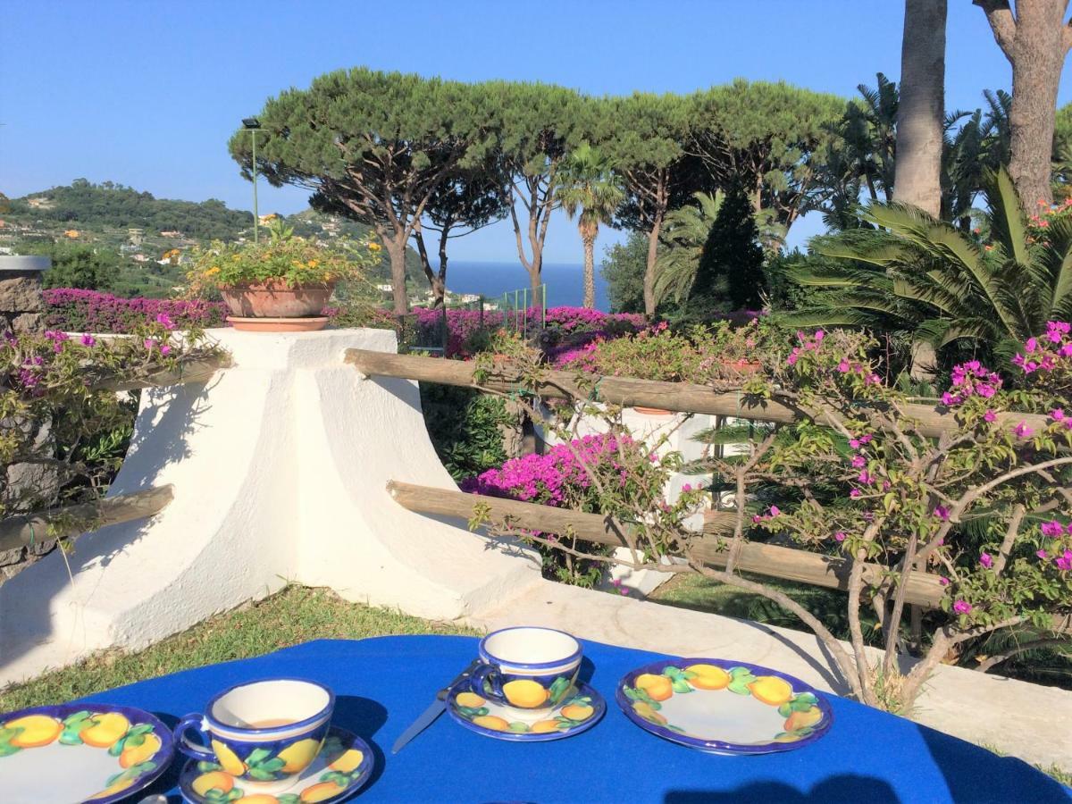 Villetta Con Giardino Esclusivo Di 1000 Mq, Piscina, Tennis, Calcio, Bocce Forio di Ischia Екстериор снимка